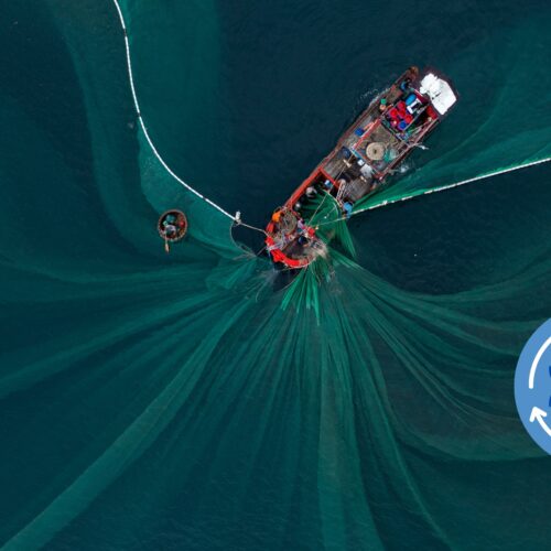 Talk: Cambiamenti Climatici e Pesca/Acquacoltura Sostenibili